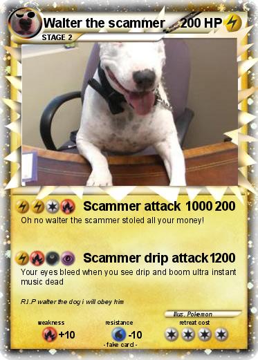 Pokemon Walter the scammer