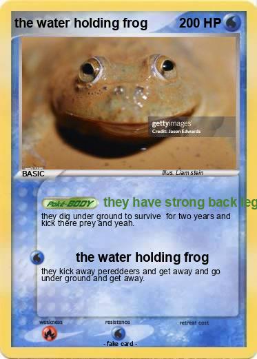 Pokemon the water holding frog