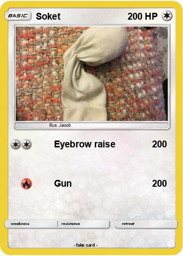 Pokemon Soket