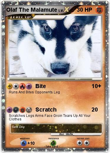 Pokemon Olaf The Malamute