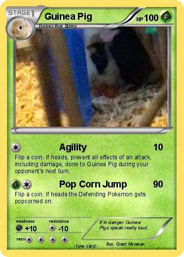 Pokemon Guinea Pig