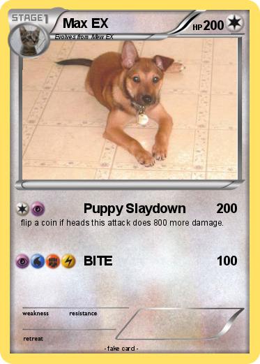 Pokemon Max EX