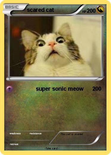 Pokemon scared cat Pokemon scared cat