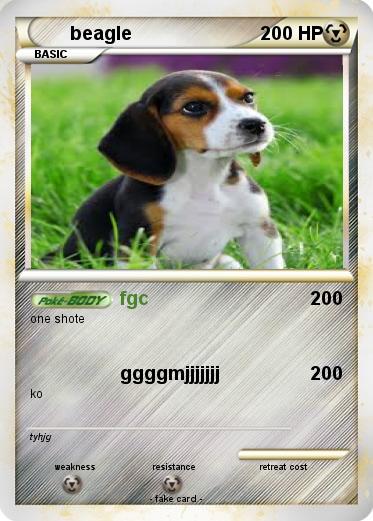 Pokemon beagle