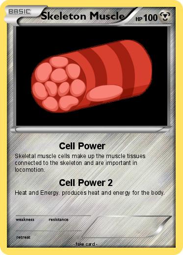 Pokemon Skeleton Muscle