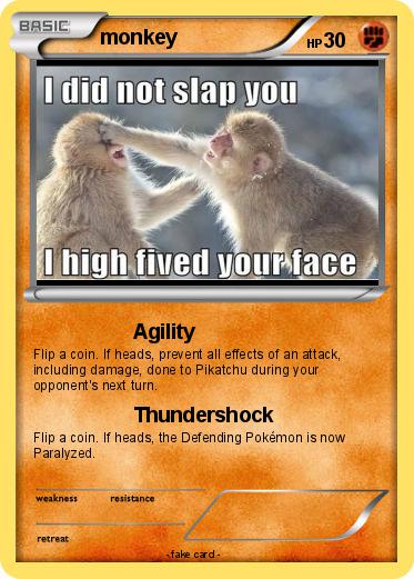 Pokemon monkey
