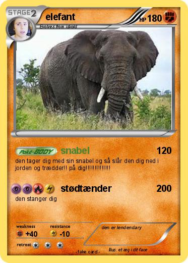 Pokemon elefant