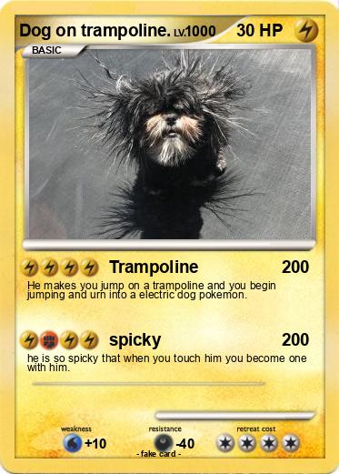 Pokemon Dog on trampoline.