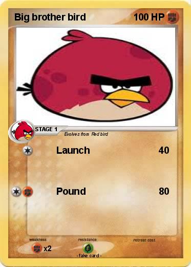 Pokemon Big brother bird