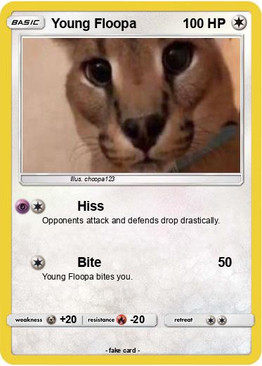 Pokemon Young Floopa