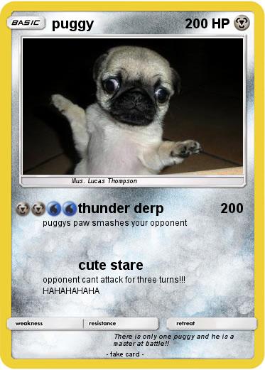 Pokemon puggy