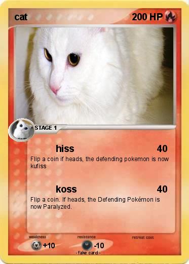 Pokemon cat