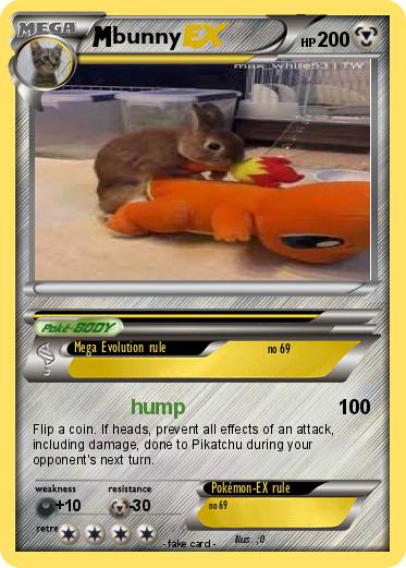 Pokemon bunny