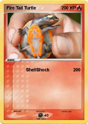 Pokemon Fire Tail Turtle