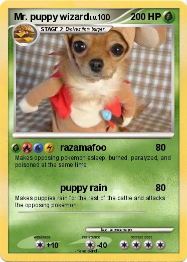 Pokemon Mr. puppy wizard
