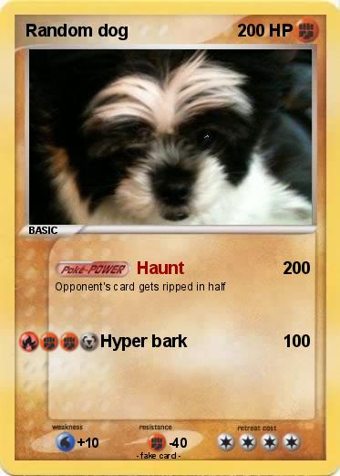 Pokemon Random dog