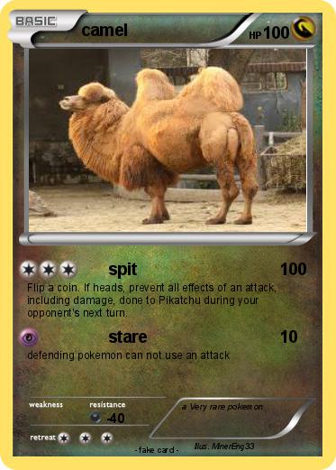 Pokemon camel