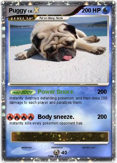 Pokemon Puggy