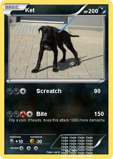 Pokemon Ket