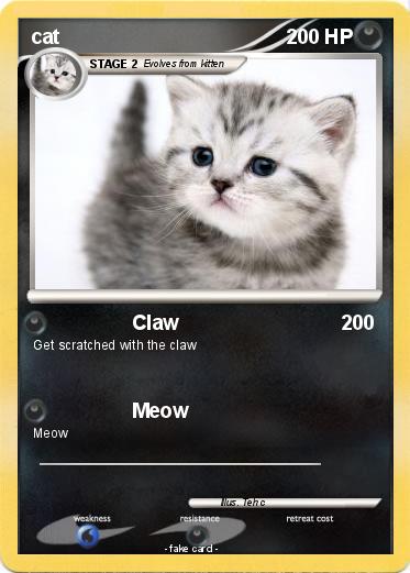 Pokemon cat