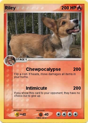Pokemon Riley