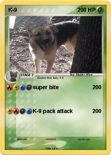 Pokemon K-9