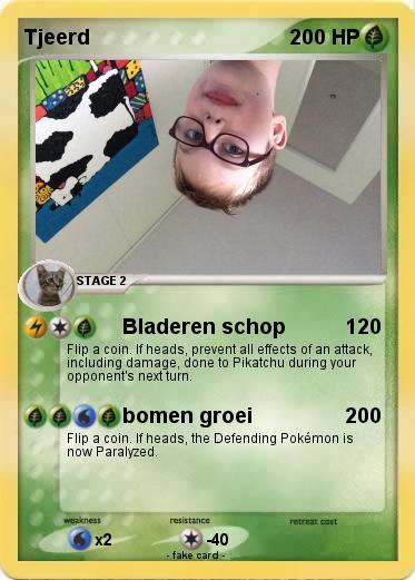 Pokemon Tjeerd