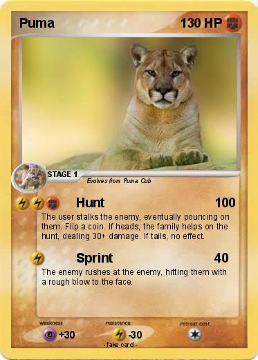 Pokemon Puma