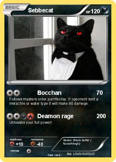 Pokemon Sebbecat