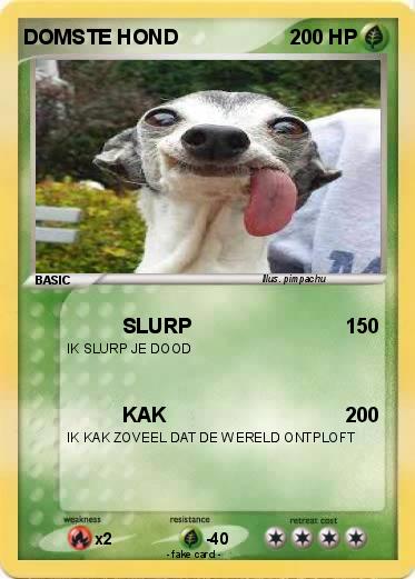 Pokemon DOMSTE HOND