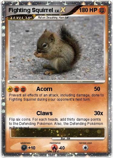 Pokemon Fighting Squirrel
