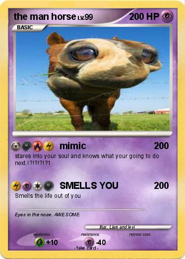 Pokemon the man horse