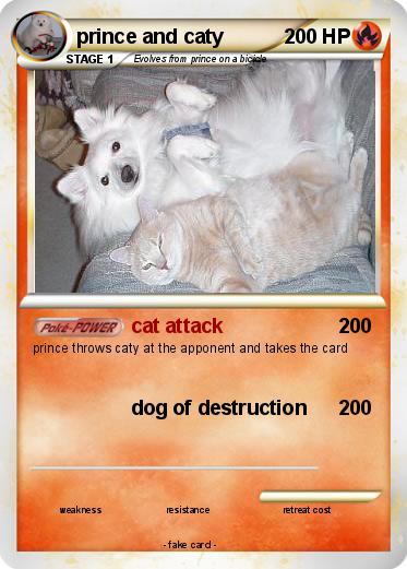 Pokemon prince and caty
