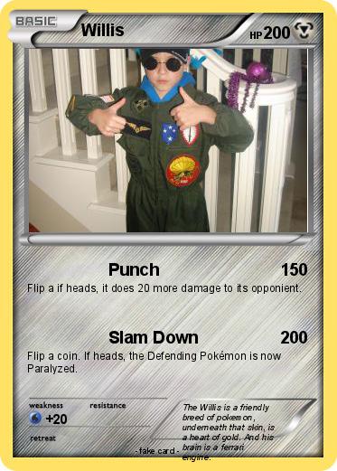 Pokemon Willis