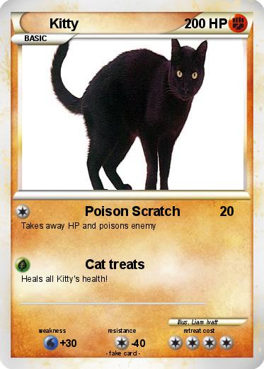 Pokemon Kitty