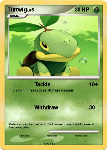 Pokemon Turtwig