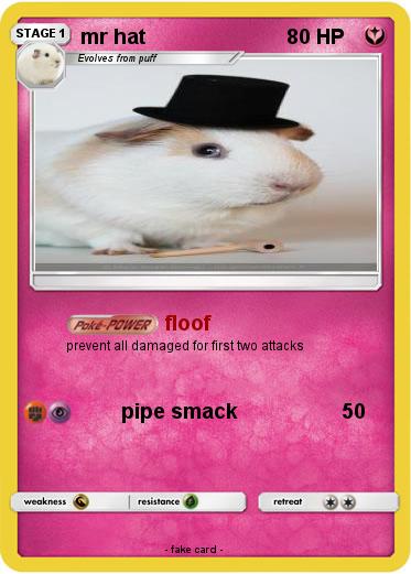 Pokemon mr hat