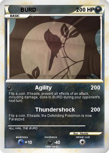 Pokemon BURD