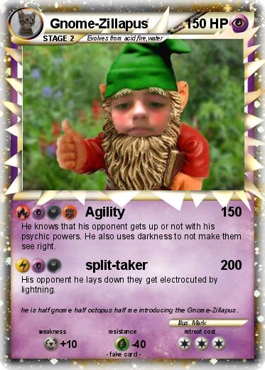Pokemon Gnome-Zillapus