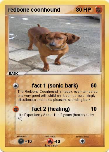 Pokemon redbone coonhound