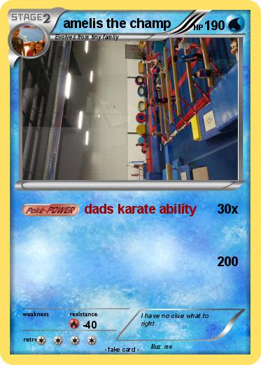 Pokemon amelis the champ