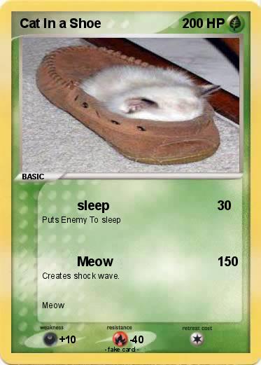 Pokemon Cat In a Shoe