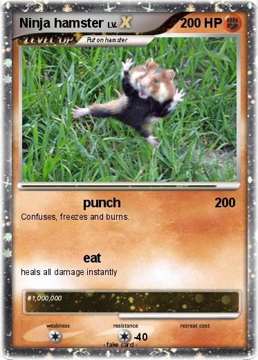 Pokemon Ninja hamster