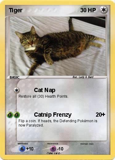 Pokemon Tiger