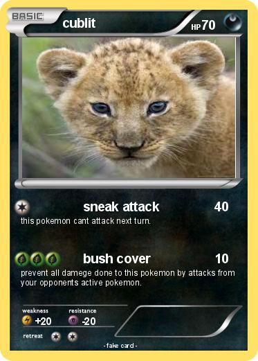 Pokemon cublit