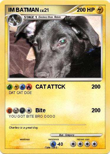 Pokemon IM BATMAN