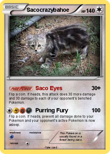 Pokemon Sacocrazybahoe