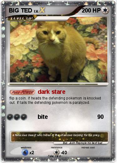 Pokemon BIG TED