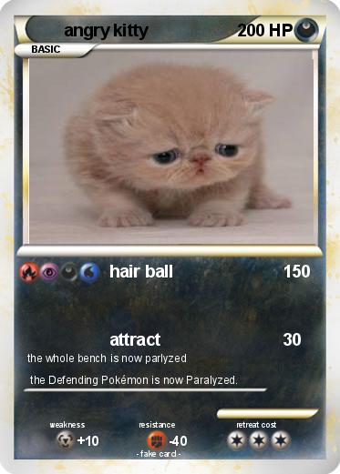 Pokemon angry kitty