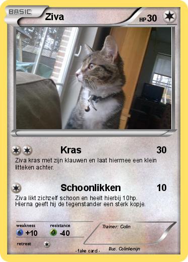 Pokemon Ziva
